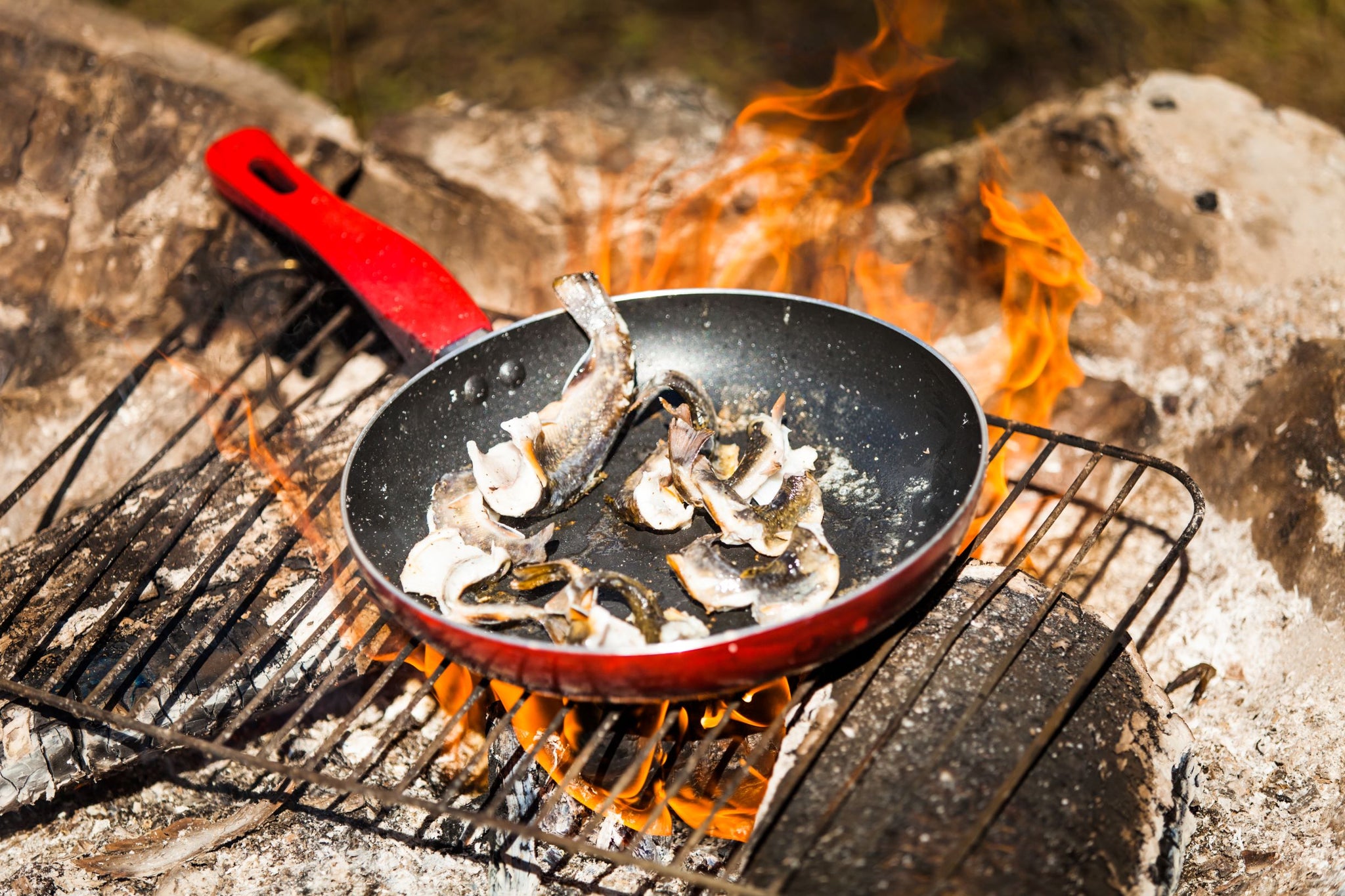 Campfire Cooking Essentials